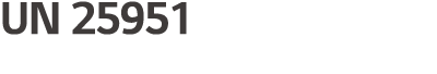 UN 25951