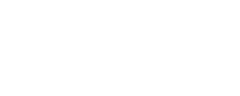 NAP4202 Oiled Ash