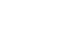 NAP4204 Oyster Ash
