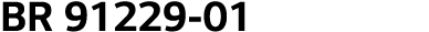 BR 91229-01