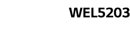  WEL5203