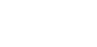 2746 Toasted Coffee 