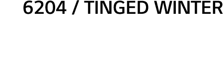 6204   Tinged Winter 