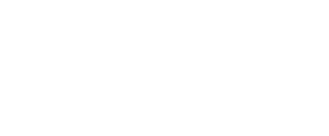 6254  Dusky Raven 