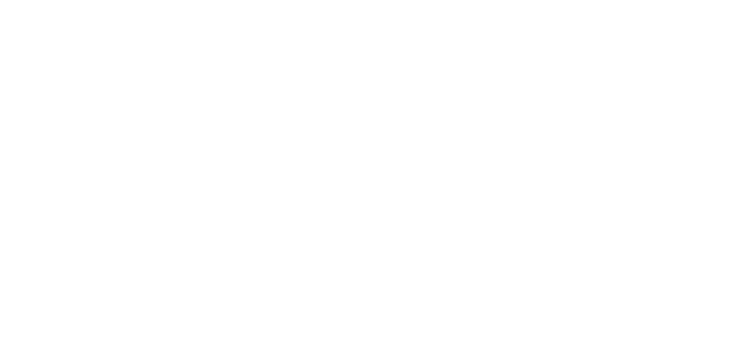 DEnali 