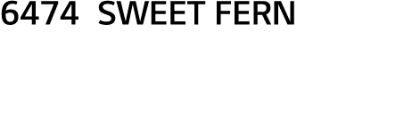 6474 SWEET FERN
