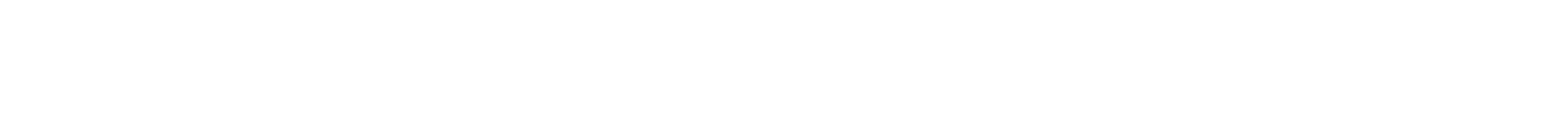 Sports Floor Plus