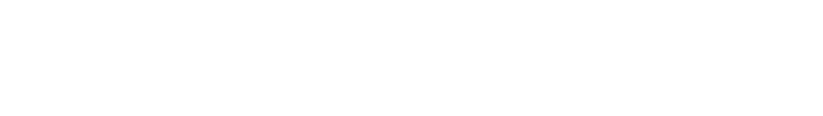 Sports Floor Plus